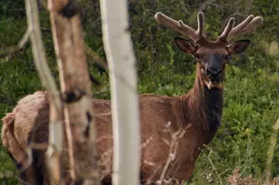 2088 Uintah View Dr, Coalville, UT 84017 - Photo 25