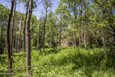 5426 E Colter Rd, Oakley, UT 84055 - Photo 23