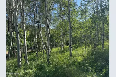 5592 Fremont Trail, Oakley, UT 84055 - Photo 41