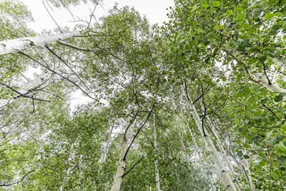 11911 Antelope Drive, Heber City, UT 84032 - Photo 13