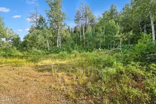 Tax Id 00-0008-2409, Heber City, UT 84032 - Photo 3