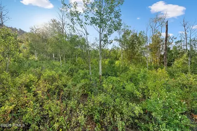 Tax Id 00-0008-2409, Heber City, UT 84032 - Photo 27