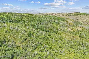 Tax Id 00-0008-2409, Heber City, UT 84032 - Photo 55