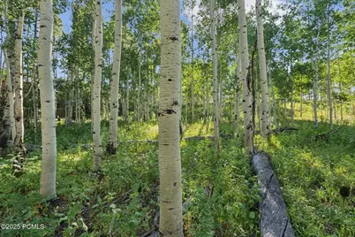 3949 Blue Spruce Drive, Heber City, UT 84032 - Photo 35