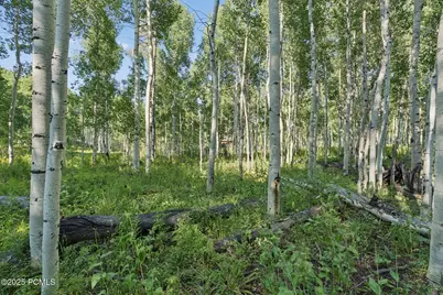 3949 Blue Spruce Drive, Heber City, UT 84032 - Photo 41