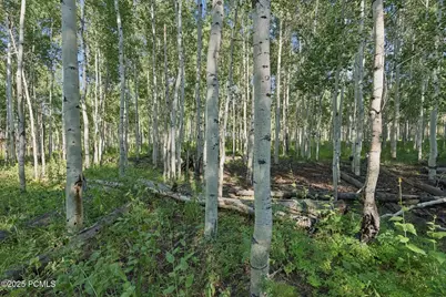 3949 Blue Spruce Drive, Heber City, UT 84032 - Photo 39