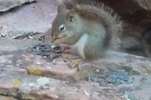 7436 Tall Oaks Dr, Park City, UT 84098 - Photo 49