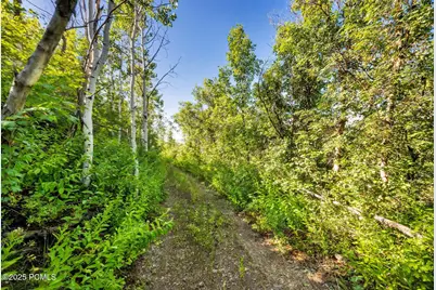 5071 S Woodland Way, Kamas, UT 84036 - Photo 11