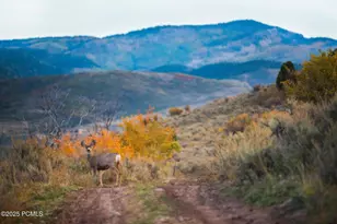 7555 E Stardust Ct, Heber City, UT 84032 - Photo 49