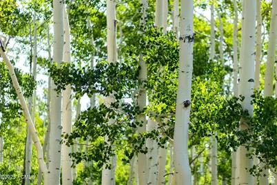 5156 N Pebble Drive, Midway, UT 84049 - Photo 3