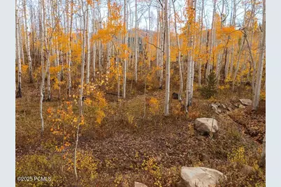 5156 N Pebble Drive, Midway, UT 84049 - Photo 15