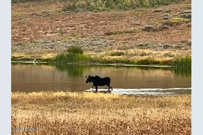 10964 N Chukar Point Drive, Huntsville, UT 84317 - Photo 79