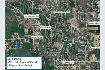 299 N 1080 W Alpenhof Court, Midway, UT 84049 - Photo 3