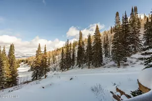 125 White Pne Cyn Rd, Park City, UT 84060 - Photo 57