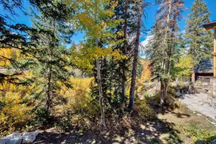 8132 S Brighton Loop Rd, Brighton, UT 84121 - Photo 59