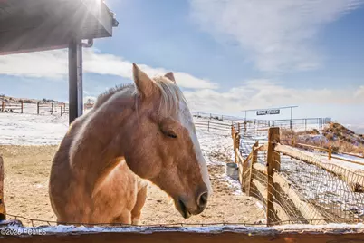 355 N Greener Hills Lane, Heber City, UT 84032 - Photo 51
