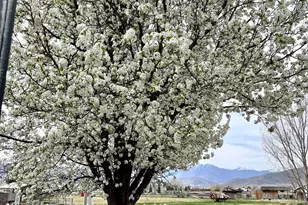 280 W 100, Midway, UT 84049 - Photo 31