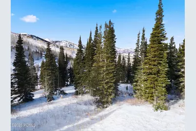 207 White Pine Canyon Road, Park City, UT 84060 - Photo 29