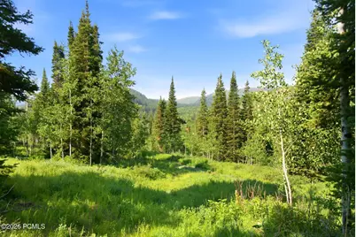 207 White Pine Canyon Road, Park City, UT 84060 - Photo 41