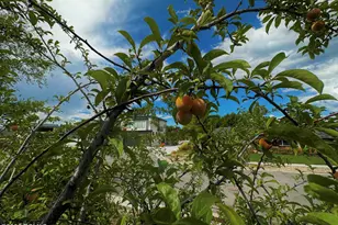 960 E Sagehill Dr, Millcreek, UT 84124 - Photo 29