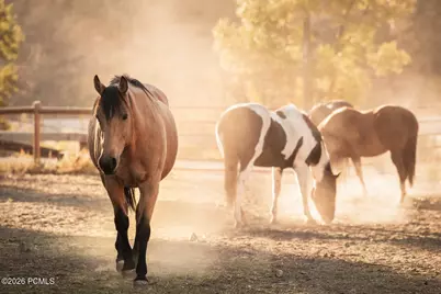 1796 Silver Sagebrush Drive, Wanship, UT 84017 - Photo 13