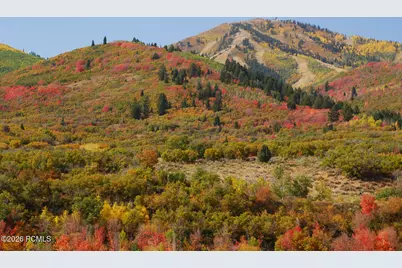 12384 N Ross Creek Drive, Kamas, UT 84036 - Photo 11