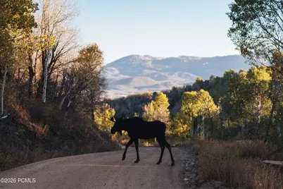145 W Forest Meadow Road, Coalville, UT 84017 - Photo 9