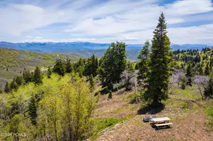 1667 W Tollgate Cyn Rd, Coalville, UT 84017 - Photo 17
