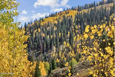 95 Black Diamond Road, Helper, UT 84526 - Photo 27