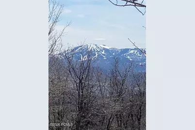 2604 S Forest Meadow Road, Coalville, UT 84017 - Photo 5