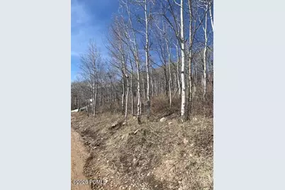 2604 S Forest Meadow Road, Coalville, UT 84017 - Photo 9