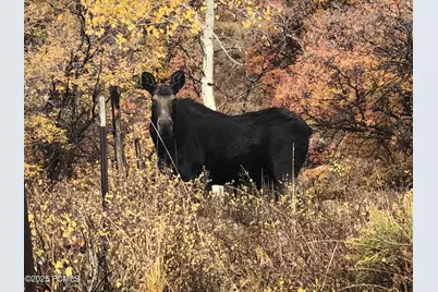 199 Mountain View Road, Oakley, UT 84055 - Photo 23