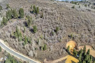 1578 W Tollgate Cyn Rd, Wanship, UT 84017 - Photo 1