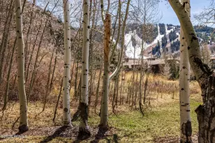 2358 Good Trump Ct, Park City, UT 84060 - Photo 47