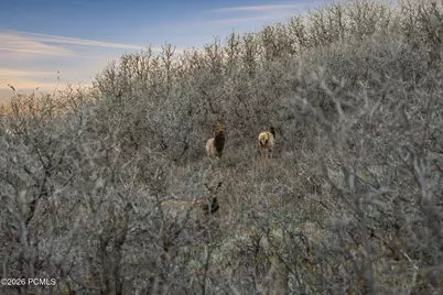 1980 Lower Cove Road, Park City, UT 84098 - Photo 31