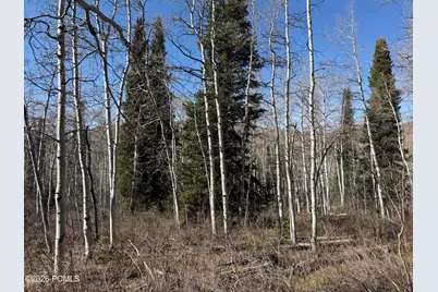 5209 White Pine Circle, Oakley, UT 84055 - Photo 3