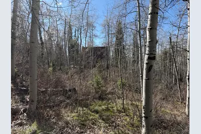 5209 White Pine Circle, Oakley, UT 84055 - Photo 31