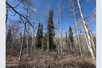 5209 White Pine Circle, Oakley, UT 84055 - Photo 5