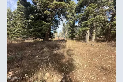 1974 W Elk Road, Coalville, UT 84017 - Photo 15