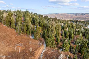 1974 W Elk Rd, Coalville, UT 84017 - Photo 7