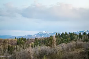 289 Porcupine Loop, Coalville, UT 84017 - Photo 43