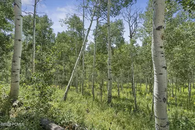 3526 S Blue Spruce Drive, Heber City, UT 84032 - Photo 33