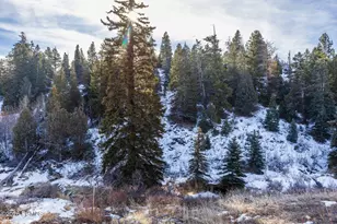 4055 Kilby Rd, Park City, UT 84098 - Photo 53
