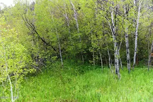 1937 UT-150 Lot 154, Kamas, UT 84036 - Photo 1