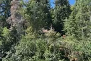 390 Aspen Dr, Park City, UT 84098 - Photo 1