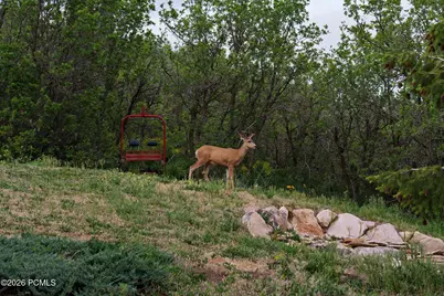 3702 Sunridge Drive, Park City, UT 84098 - Photo 31