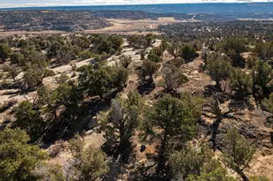 46149 W Winchester Way, Fruitland, UT 84027 - Photo 1