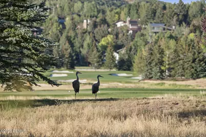 125 Yonex Court, Park City, UT 84060 - Photo 23