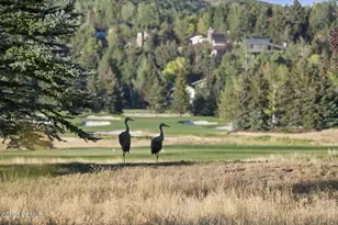 125 Yonex Ct, Park City, UT 84060 - Photo 23