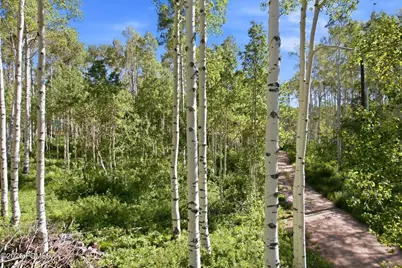 5339 N Grouse Road, Midway, UT 84049 - Photo 19